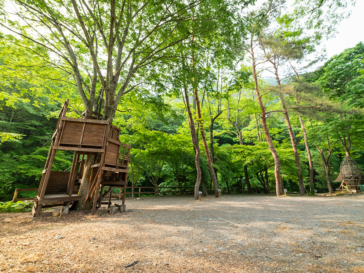 川のオートサイト 1サイト6名まで ほうれん坊の森キャンプ場 小菅村 東部森林公園